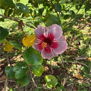 Meet your Posher, Valerie